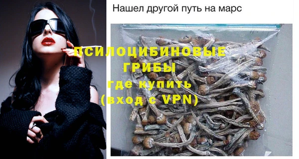 тгк Богородицк