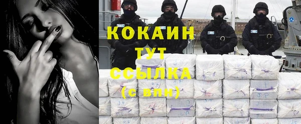 дмт Богданович