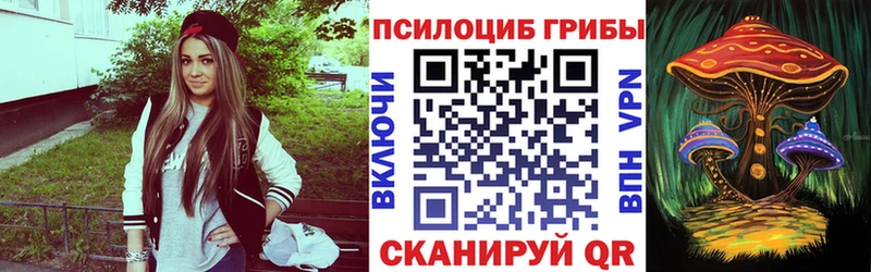 наркота  Валуйки  Псилоцибиновые грибы мицелий 